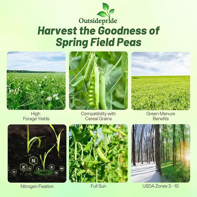 Outsidepride Dundale Spring Field Peas Seeds - 20 lbs. Annual, High-Protein Legume & Cover Crop Seeds for Forage, Food Plot, Gardens & Pastures - Ideal for Improving Soil Health, & Erosion Control by GreenHaven Gardens