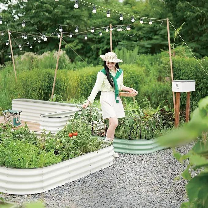 DaisyVibe Raised Garden Bed Kit, Planter Raised Garden Boxes Outdoor, Oval Large Metal Raised Garden Beds for Vegetables Flowers (Grey, 8ftx2ftx1ft) by GreenHaven Gardens