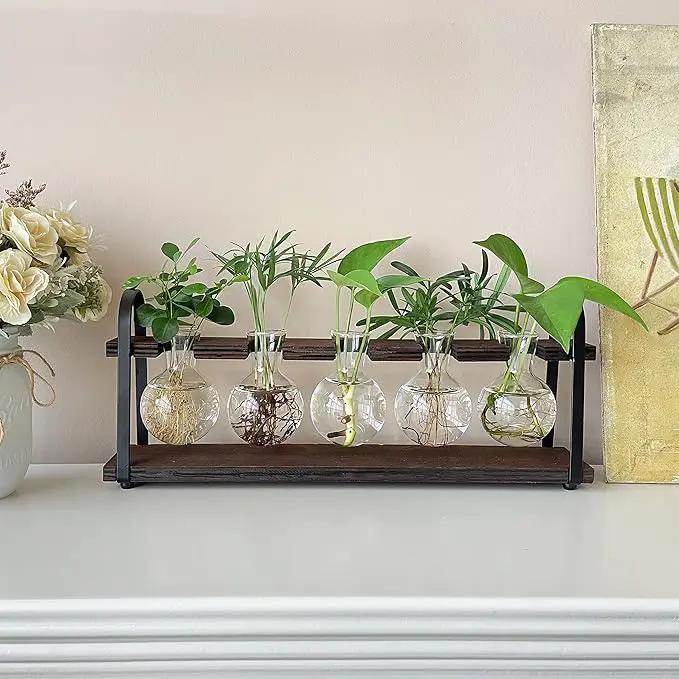 THYGIFTREE Plant Propagation Stations with Wooden Stand, Desktop Retro Plant Terrarium Bulb Vase for Indoor Hydroponic Flowers, Tabletop Glass Planter Housewarming Gifts for Plant Lovers by GreenHaven Gardens
