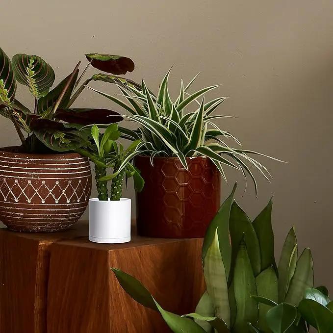 D'vine Dev 6 Pack 4.5 Inch Modern Plastic Plant Pots, Small Garden Planters for Plant with Drainage Holes and Saucers, White Color, 74-Z-F-3 by GreenHaven Gardens