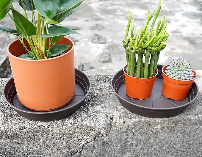 Plant Saucer 6 Inch 4 Pack 6 8 10 12 14 16 18 20 25, Plastic Plant Trays for Pots，Extra-Deep Plant Water Dray Tray, Bird Bath Bowl, Heavy Flower Plant saucers Indoors and Outdoor No Holes 6in-4 brown by GreenHaven Gardens