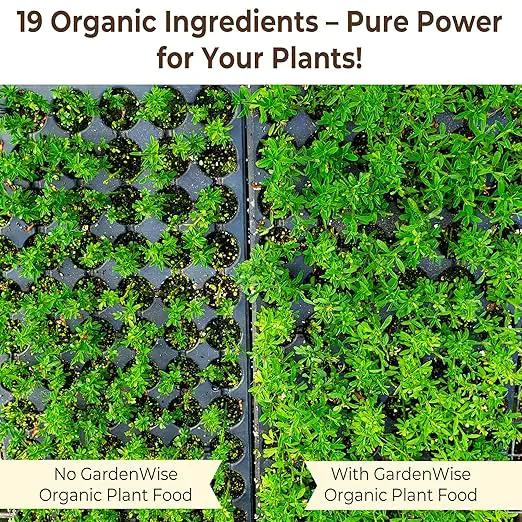 Organic Liquid Plant Food for Indoor Houseplants – All Purpose Fertilizer for Potted Plants, Vegetables, Succulents, Orchids, Roses – Miracle Growth with Mycorrhizae (8 oz) by GreenHaven Gardens