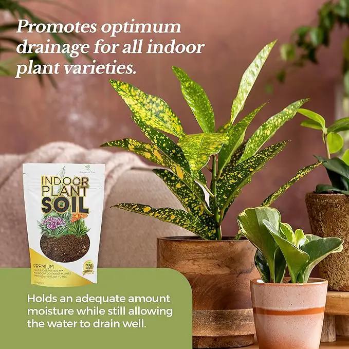 Indoor Plant Soil Premium All Purpose Blend | Large 2.2 Quarts | Ready to Use for Indoor Container and Houseplants | Peat, Coco Coir, Perlite, Dolomite | Made in USA by GreenHaven Gardens