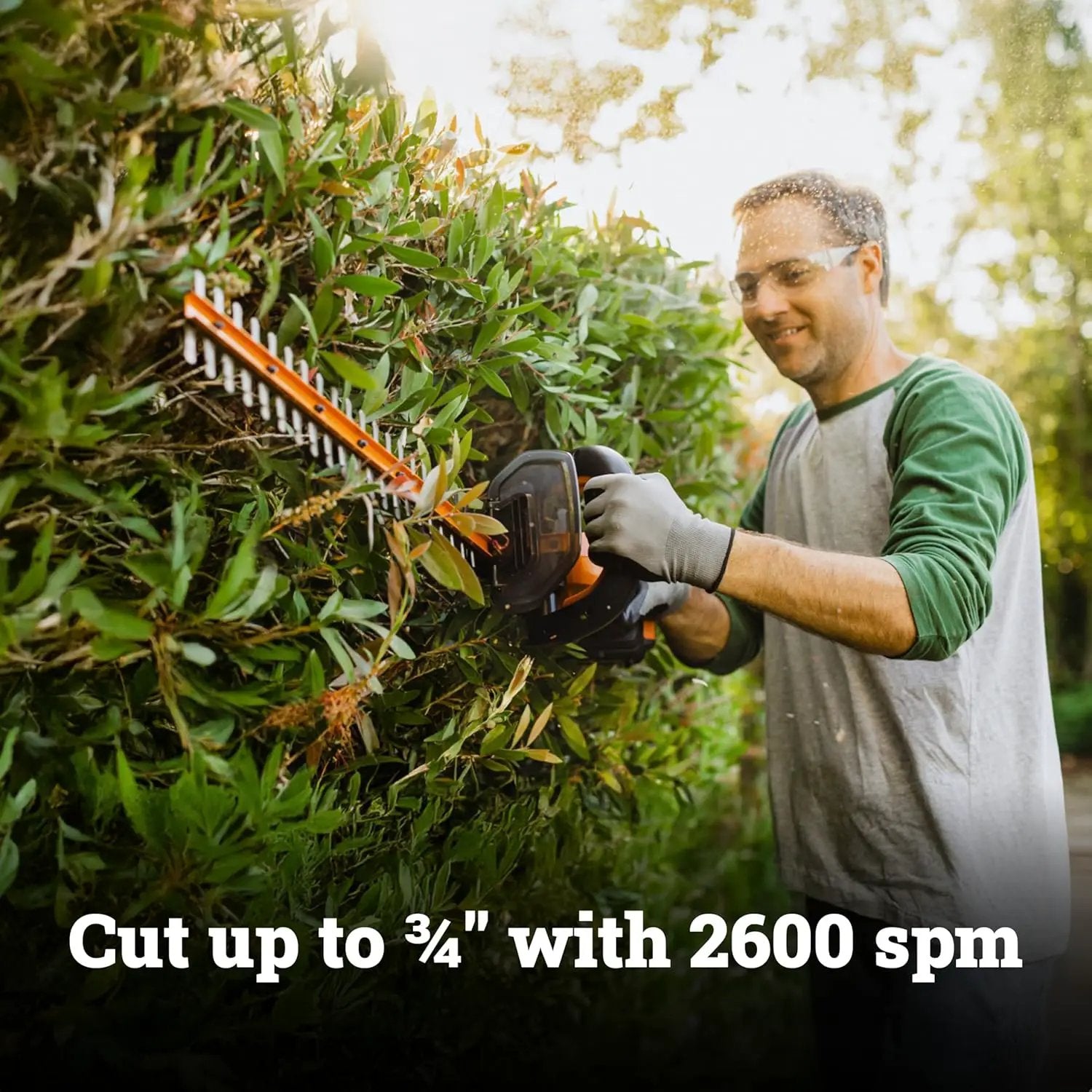 WORX WG261 22" 20V Cordless Hedge Trimmer, Battery & Charger Included by GreenHaven Gardens
