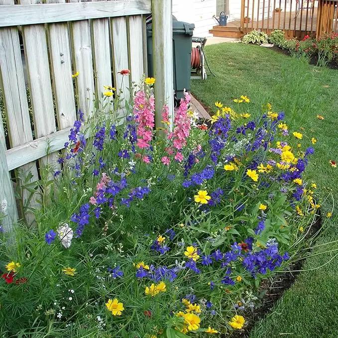 Created By Nature Maine Wildflower State Mix, 15 Flower Varieties, 50,000 Seeds by GreenHaven Gardens