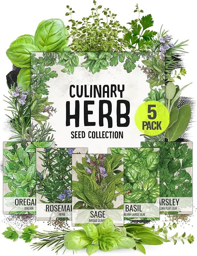 Seed Needs, Italian Herb Seed Packet Collection (5 Individual Seed Varieties for Planting) Non-GMO & Untreated - Oregano, Basil, Rosemary, Sage and Parsley by GreenHaven Gardens