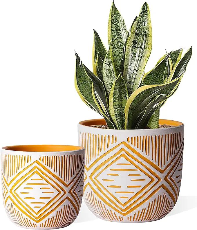 2 Boho Style Terra Cotta Pots, 6 Inch Yellow Plant Pots with Drainage Holes, Suitable for Indoor Plants Ferns,Vines, Succulents and Outdoor Plants Growing, a Gift for Plant Lovers by GreenHaven Gardens