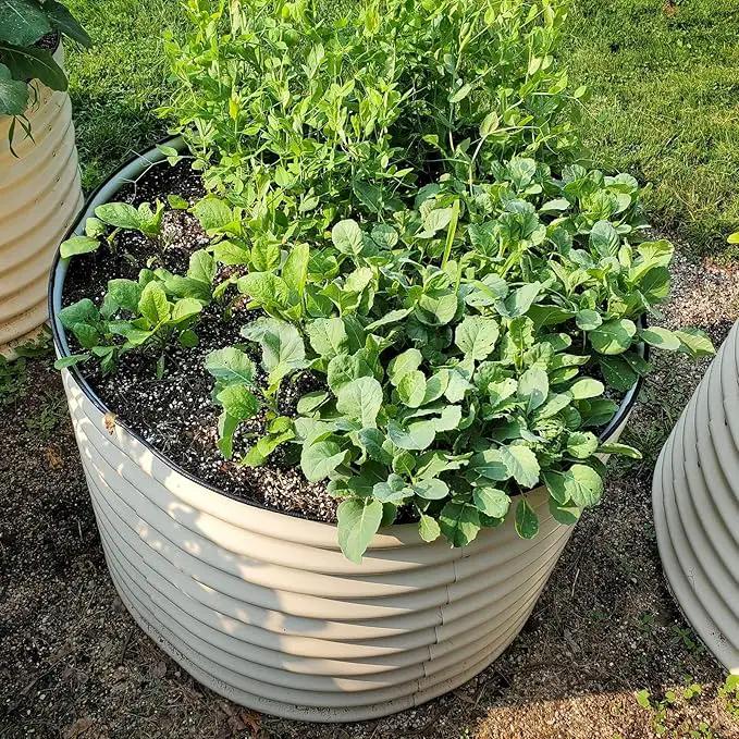 Vego garden 32" Tall 42" Round Raised Garden Bed Raised Bed Planter Box for Vegetables Flowers Patio-Pearl White by GreenHaven Gardens
