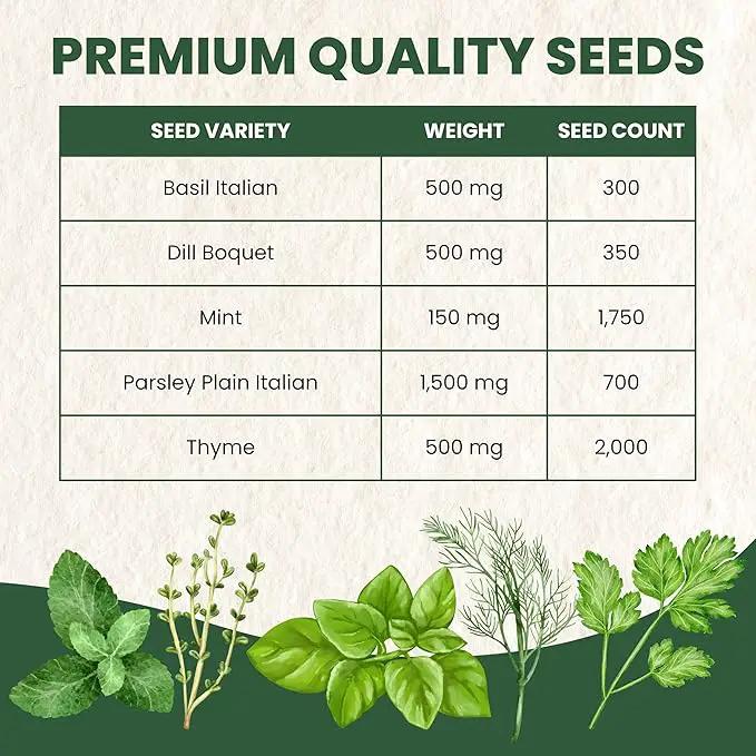 Herb Seeds | 5 Invidiual Packs | 2025 Season | Non-GMO | Basil, Dill, Mint, Parsley & Thyme! | for Planting Indoor & Outdoor | by Family Sown by GreenHaven Gardens