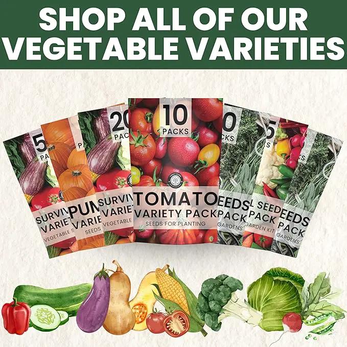 Herb Seeds | 10 Invidiual Packs | 2025 Season | Non-GMO | Mint, Parsley, Basil, Thyme & More! | for Planting Indoor & Outdoor | by Family Sown by GreenHaven Gardens