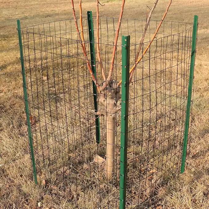 Black PVC Coated Welded Wire Fence 48 Inch x 50 Foot, 2 Inch x 3 Inch 16GA, Garden Border Fencing Roll Vinyl Coating Metal Wire Mesh for Yard Vegetable Plant Protection Poultry Netting by GreenHaven Gardens
