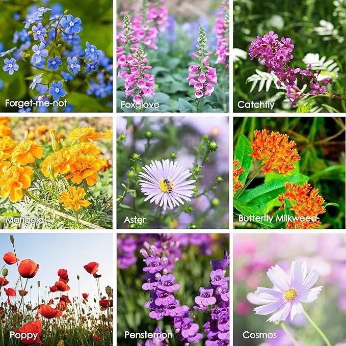 Wildflower Seeds Bulk, 2 Oz. 80,000+ Seeds – Butterfly & Hummingbird Mix with 23 Non-GMO Varieties – Pollinator Flower Seed for Planting by GreenHaven Gardens