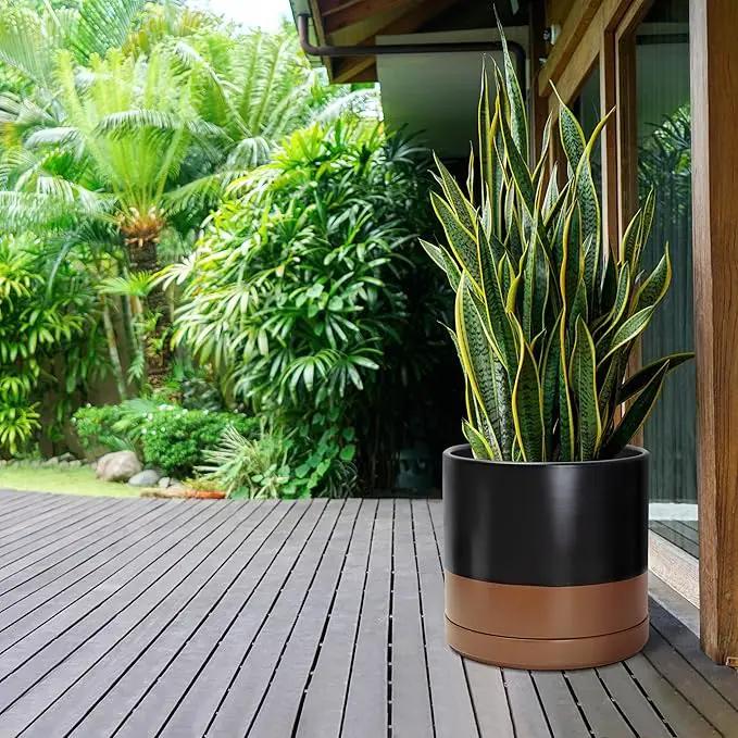 D'vine Dev 14 Inch Ceramic Planter Pot with Drainage Hole and Saucer, Indoor Cylinder Round Planter Pot, Black/Speckled Tan, 94-O-G-7 by GreenHaven Gardens