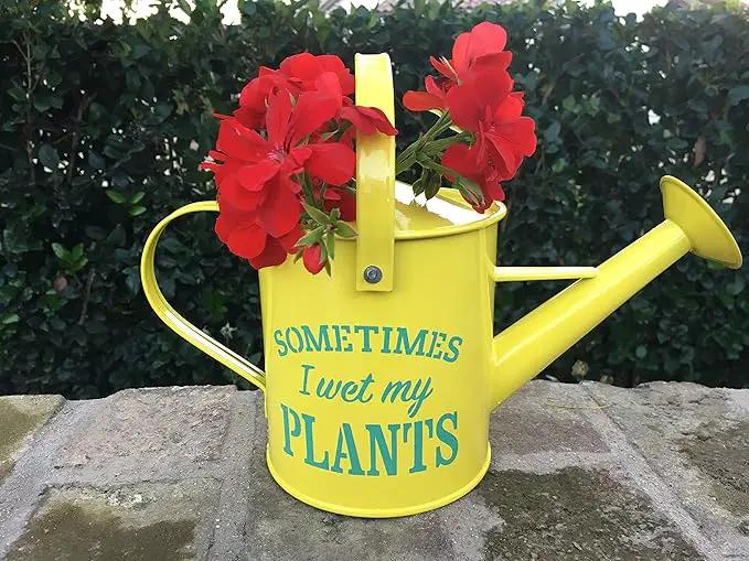 Small Indoor Watering Can - Gardening Gifts for Women -Sometimes I Wet My Plants- 1.6 L - Cute Watering Can for Gardeners - Yellow Galvanized Metal by GreenHaven Gardens