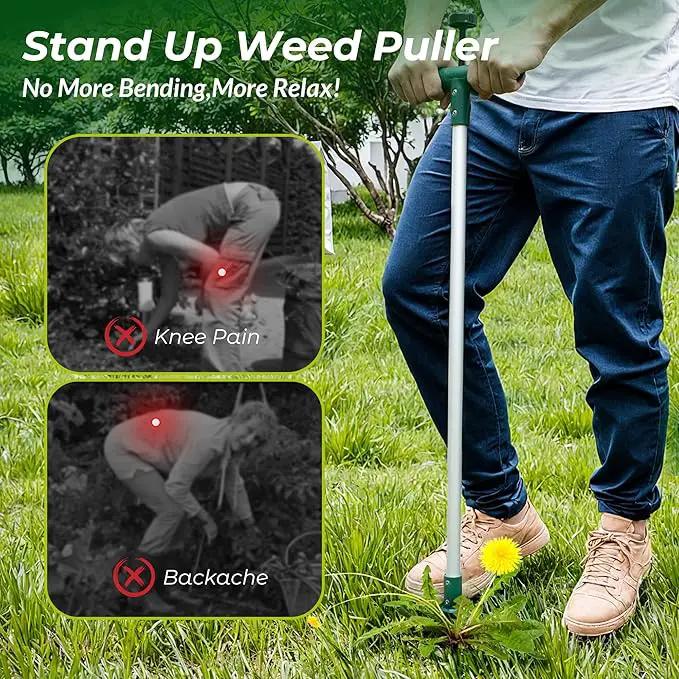 Walensee Weed Puller, Stand Up Weeder Hand Tool, Long Handle Garden Weeding Tool with 3 Claws, Hand Weed Hound Weed Puller for Dandelion, Standup Weed Root Pulling Tool and Picker, Grabber (1 Pack) by GreenHaven Gardens