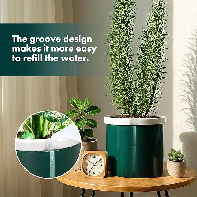 D'vine Dev 8 Inch Design Self Watering Planter for Indoor Plants, White Terracotta Pot with Teal Cylinder Glass Cup, 37-X-C-5 by GreenHaven Gardens
