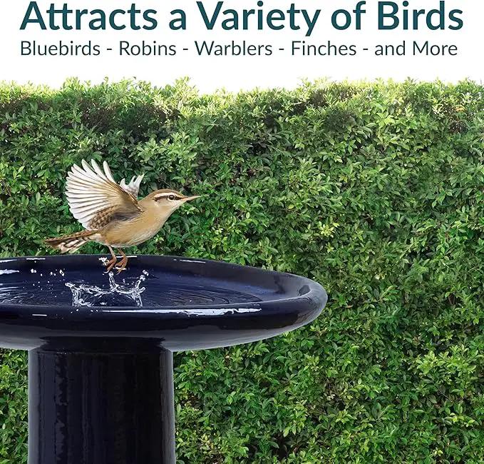 Sunnydaze 21" H Ceramic Bird Bath for Outside - Hand-Painted Outdoor Bird Bath Bowl, UV/Frost-Resistant Finish - Dark Blue - Cut Out Pedestal by GreenHaven Gardens
