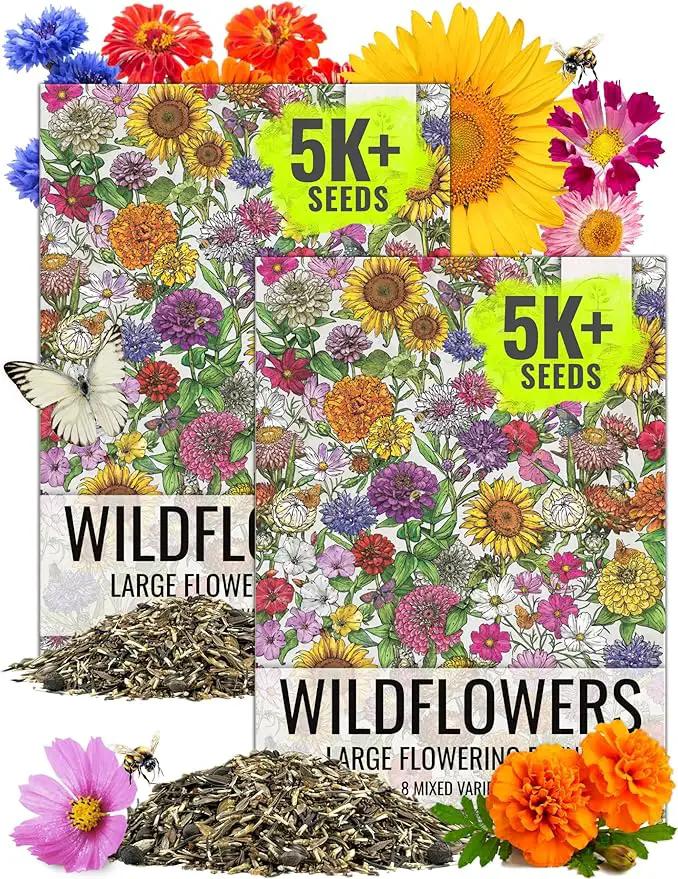 Seed Needs Garden Flower Seeds Large Blooms Mix Hummingbird and Butterfly | 2 Packs (1 Ounce Each) No Filler 7 Varieties Open Pollinated | Resealable Package Live Wild Flower Seed | Bulk by GreenHaven Gardens
