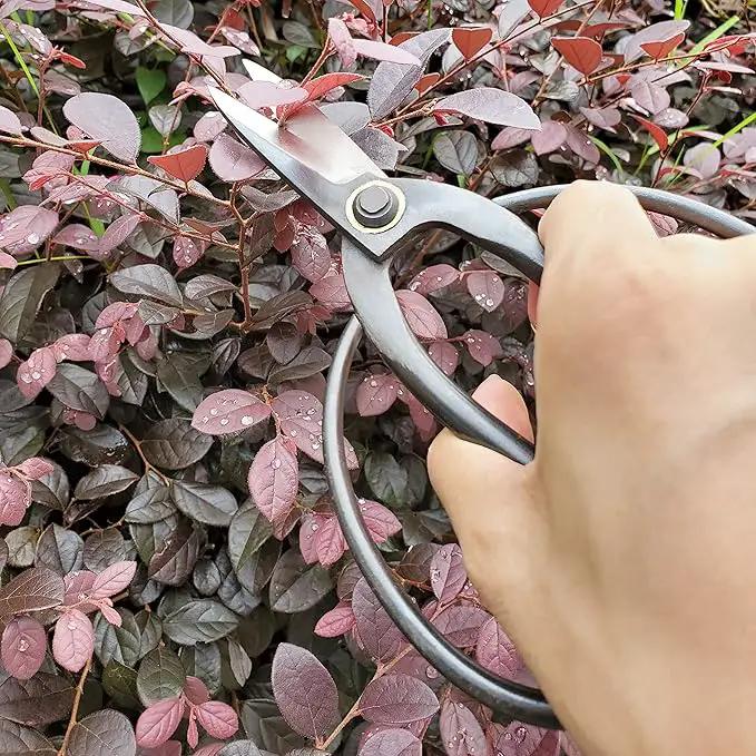 gonicc Professional 7.3" Bonsai Scissors(GPPS-1012), For Arranging Flowers, Trimming Plants, For Grow Room or Gardening, Bonsai Tools. Garden Scissors Loppers. by GreenHaven Gardens