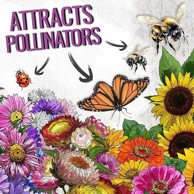 Seed Needs Garden Flower Seeds Large Blooms Mix Hummingbird and Butterfly | 10 Packs (1 Ounce Each) No Filler 7 Varieties Open Pollinated | Resealable Package Live Wild Flower Seed | Bulk by GreenHaven Gardens