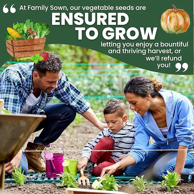 Herb Seeds | 10 Invidiual Packs | 2025 Season | Non-GMO | Mint, Parsley, Basil, Thyme & More! | for Planting Indoor & Outdoor | by Family Sown by GreenHaven Gardens