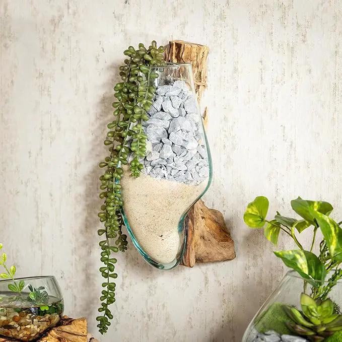Cape Craftsmen Wall Mounted Molten Glass Hanging Terrarium on Driftwood, Indoor Wall Planter Vase on Wood, Propagation Station for Hydroponics Plants, Succulent Pot by GreenHaven Gardens