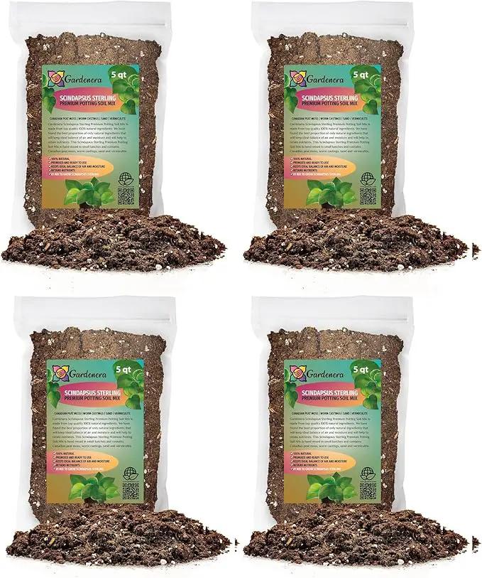 Scindapsus Sterling Potting Mix - Unlock Robust Growth and Stunning Leaves with Our High-Performance Formula - 20 Quart by GreenHaven Gardens
