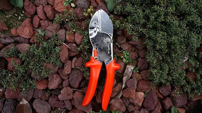 8" Professional Heavy Duty Anvil Pruning Shears with SK-5 Blades, Garden Shears for Dry Stems and Small Branches, Gardening Scissors, Clippers for Wood, Plastic, Rubber, Leather | LFXP1108 by GreenHaven Gardens