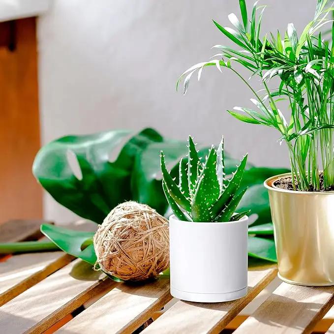 D'vine Dev 2 Pack 4 Inch Modern Plastic Plant Pots, Small Garden Planters for Plant with Drainage Holes and Saucers, White Color, 74-Z-E-1 by GreenHaven Gardens