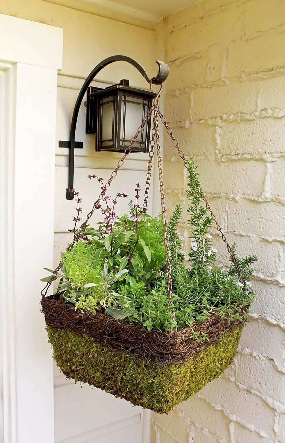 SuperMoss (29327 MossWeave Hanging Basket | Outdoor Hanging Planter with Moss | Decorative Plant Hanger for Porch, Balcony, Garden & Home Décor, Square with Wicker Rim, Set of 3 (S/M/L), Green by GreenHaven Gardens