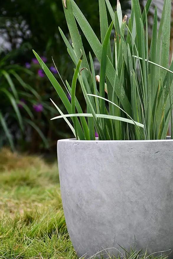 Kante 14 Inch Dia Round Concrete Planter, Indoor Outdoor Large Plant Pot with Drainage Hole and Rubber Plug for Home Patio Garden, Natural Concrete by GreenHaven Gardens