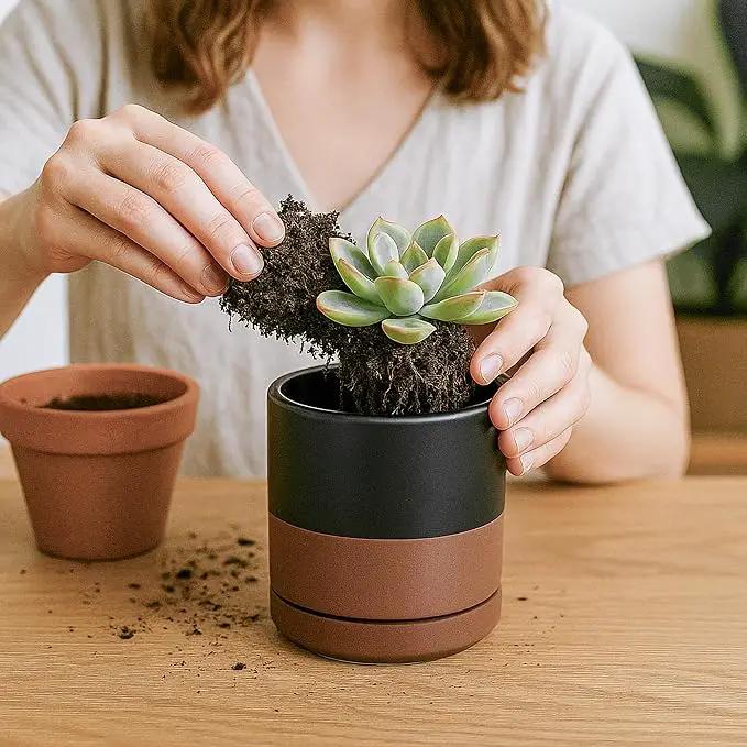D'vine Dev Set of 4 Small Ceramic Plant Pots, 3.5 Inch Succulent Planter Pot for Plants with Drainage Hole and Saucer, Black/Speckled Tan, 94-X-A-7 by GreenHaven Gardens