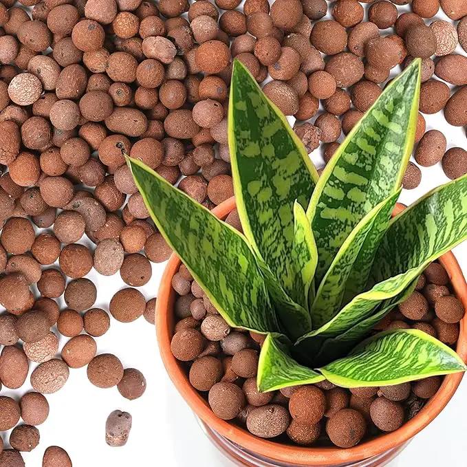 T4U Leca Clay Pebbles for Plants, 2 LBS 10-20 mm Clay Balls for Indoor Plants, Natural Clay Pebbles for Orchid Potting Mix, Hydroponic, Leca Pots, Plant Drainage, Garden Soil by GreenHaven Gardens