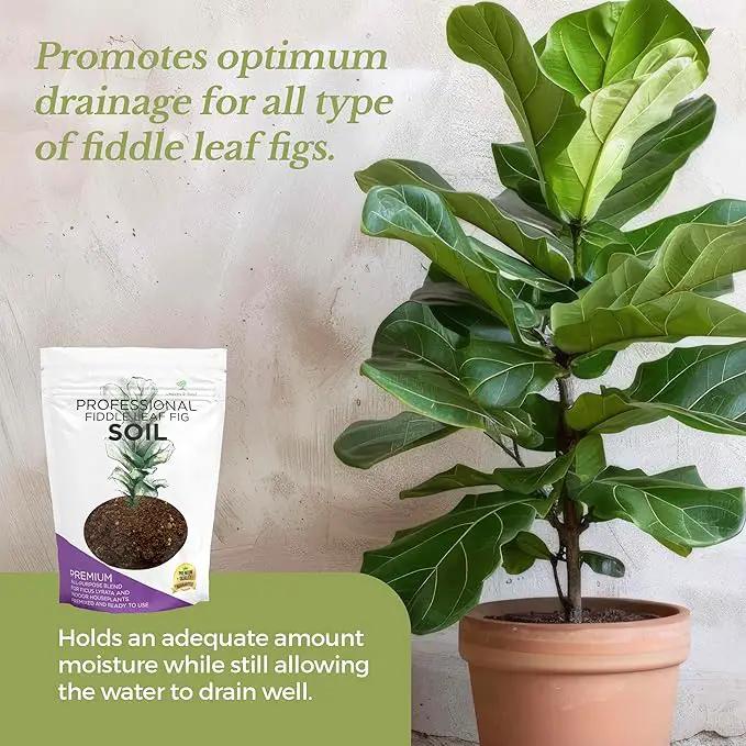 Fiddle Leaf Fig House Plant Soil Premium All Purpose Blend | Large 2.2 Quarts | Ready to Use for Indoor Houseplants | Peat, Sawdust, Course Sand and Pinebark | Made in USA by GreenHaven Gardens