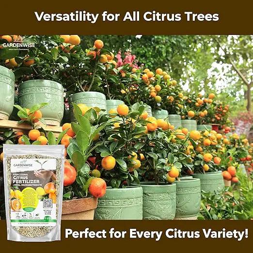 Professional Citrus Fertilizer + Vital Micronutrients; Perfect Balanced NPK for All Citrus; for Indoor and Outdoor Plants; Orange, Lime, Avocado and Lemon Tree Fertilizer (10 QUARTS) by GreenHaven Gardens