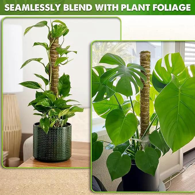 DUSPRO Natural Stackable Moss Pole for Plants Monstera Potted Plant Stakes for Indoor Plants Extendable Plant Pole Moss Sticks for Plants Climbing Vine Supporting Monstera Trellis 10Pcs 22'' by GreenHaven Gardens