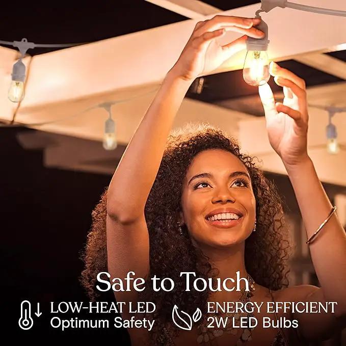 Brightech Ambience Pro Waterproof LED Outdoor String Lights, 48 Ft, Hanging, Dimmable Vintage Edison Bulbs, 15 Bulbs, 2W by GreenHaven Gardens