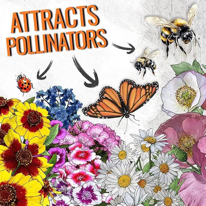 Seed Needs Partial Shade Wildflower Seed Mix for Planting | 2 Packs (1 Ounce Each) 14+ Varieties Open Pollinated Annual & Perennial Species | Flower Seeds Shade Tolerant | Bulk by GreenHaven Gardens