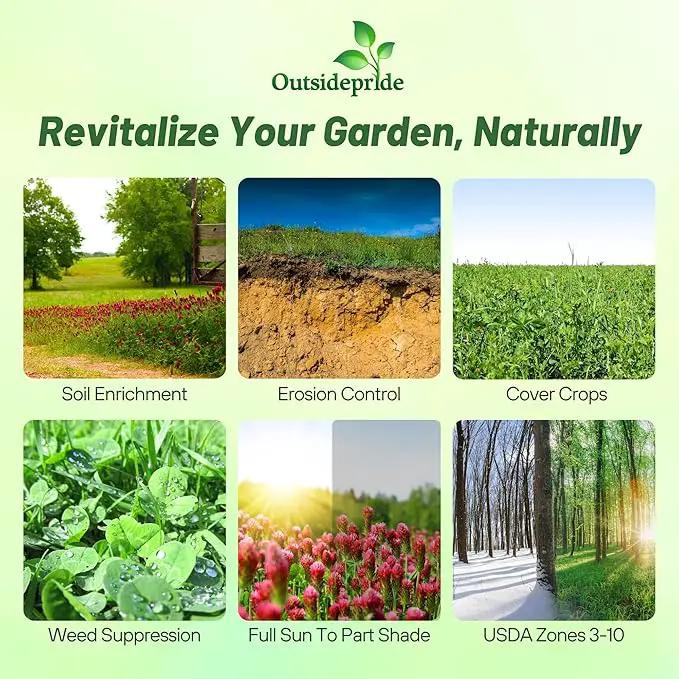 Outsidepride Gardenway Cover Crop Seeds - 5 lbs Nutrient-Rich Seed Mix for Soil Health Improvement & Home Gardens - Mixture of Triticale, Peas, Oats, Vetch, Annual Ryegrass, Crimson Clover by GreenHaven Gardens