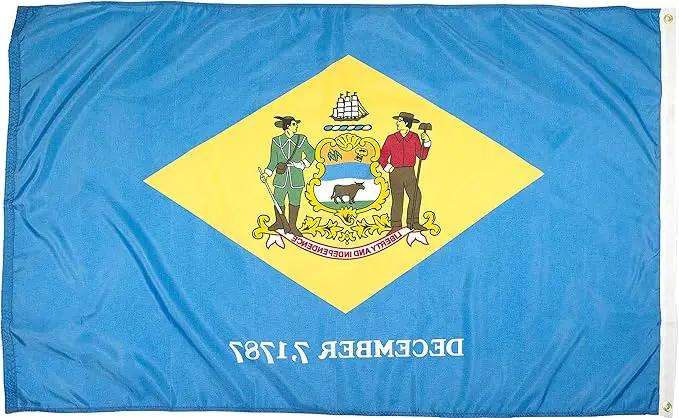FlagSource Delaware Nylon State Flag, Made in the USA, 3x5' by GreenHaven Gardens