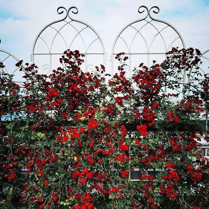 Metal Garden Trellis Rustproof Trellis for Climbing Plants Outdoor Flower Support Butterfly Deco (Cream White-2 Pack, 71"x19.7") by GreenHaven Gardens