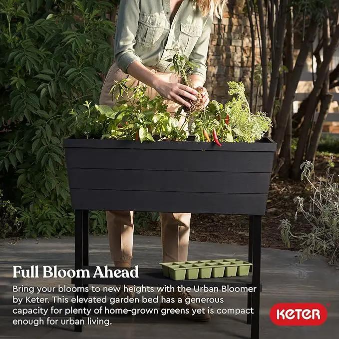 Keter Urban Bloomer 12.7 Gallon Raised Garden Bed and Outdoor Herb Garden Planter with Self Watering Gauge and Drainage Plug, Dark Grey by GreenHaven Gardens
