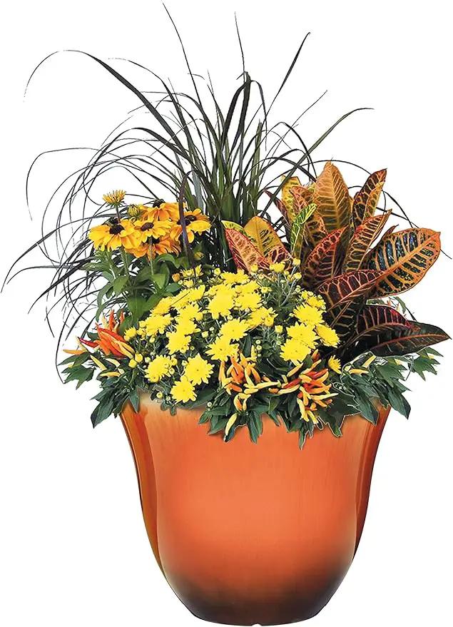 Classic Home and Garden Honeysuckle Resin Flower Pot Planter, Tequila Sunrise, 15" (Pack of 2) by GreenHaven Gardens