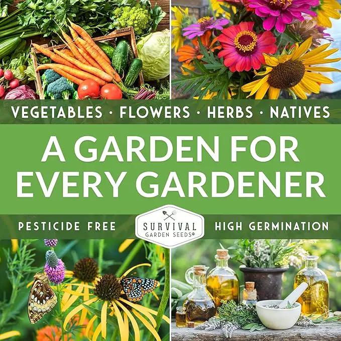 Survival Garden Seeds 10 Flower Collection - Four O’Clock, Chamomile, Shasta Daisy, Purple Coneflower, Marigold, Morning Glory, Nasturtium, Snapdragon, Sunflower, Zinnia - Non-GMO Heirloom Varieties by GreenHaven Gardens