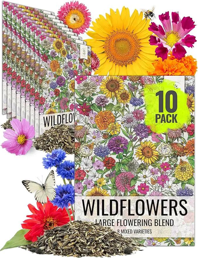 Seed Needs Garden Flower Seeds Large Blooms Mix Hummingbird and Butterfly | 10 Packs (1 Ounce Each) No Filler 7 Varieties Open Pollinated | Resealable Package Live Wild Flower Seed | Bulk by GreenHaven Gardens