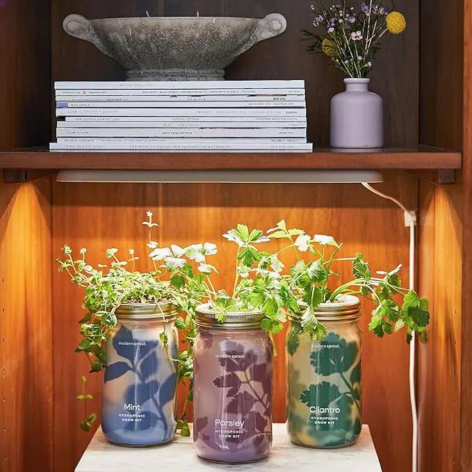 Modern Sprout Mason Garden Jar - Self-Watering Hydroponics Growing System Kit with Organic Herb Seeds - Jar Planter for Indoor Herb Garden - Seed Starter Kit - Home Decor & Gifting - Parsley