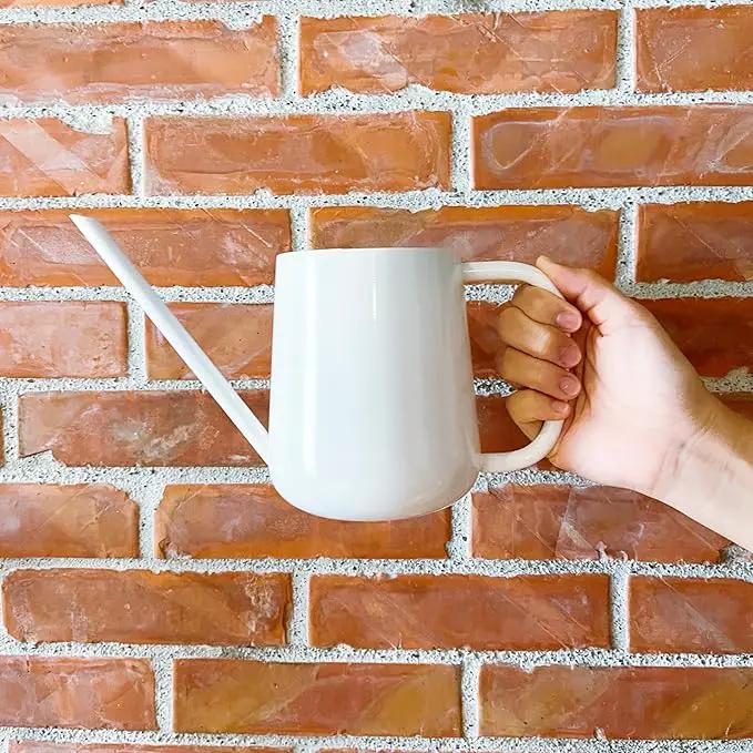 Metal Watering Can for Indoor Houseplants Outdoor Garden Long Sprout Water Can for Succulents Herb Bonsai Modern Garden Tool 33.8oz/1000ml (Brilliant White) by GreenHaven Gardens