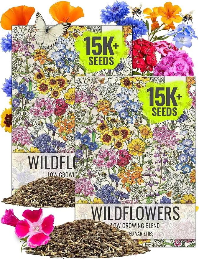 Seed Needs Low Growing Wildflower Flower Seeds for Planting | 2 Packs (1 Ounce Each) Mixture/Blend 17 Varieties | Resealable Package Multicolored Blooms Open Pollinated Mixed Species | Bulk by GreenHaven Gardens
