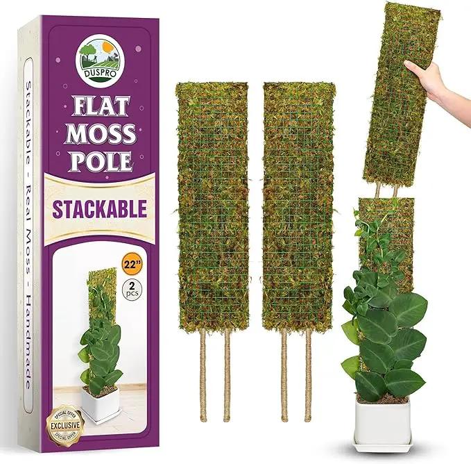 DUSPRO Flat Mesh Moss Poles for Climbing Plants Monstera Stackable Moss Pole for Plants with Real Moss Moss Plant Pole for Potted Plants Handmade Moss Stick for Indoor Plants Grow Upward 2 Pack 22” by GreenHaven Gardens