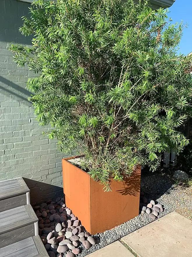 Corten Steel Planter Box Metal Square Planters Steel Large Planter Outdoor Tall Plant Durable Antique Detached for Commercial Residential Patio Deck and Backyard 26 Inch by GreenHaven Gardens